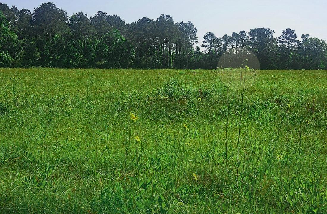 Texas land sale options and buyer review for Legal Documents for Selling Land in Texas