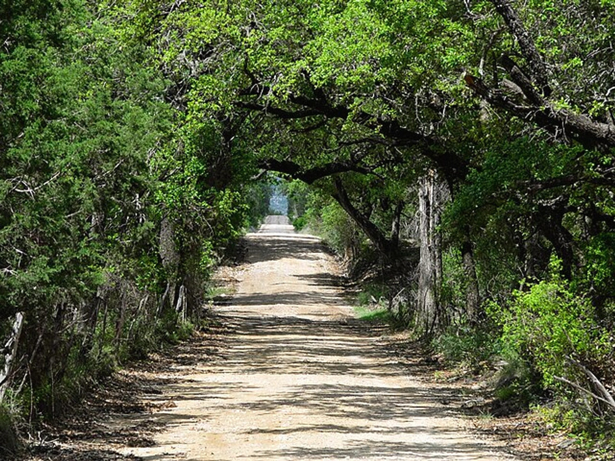 Rural Access Parcels in Conroe
